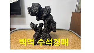 01053463883회원가입 수석경매 산해수석 / 백억수석 경매 25년1월9일(목) 오후 6시 방송 실시간 경매 라이브 지금실시간방송 #수석경매  수석경매장 최고의수석