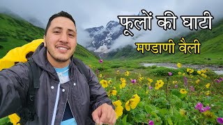 हिमालय की गोद में स्थित खूबसूरत Mandani Valley || Mandani Valley Trek Uttarakhand || Cool Pahadi