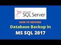 How to restore MS SQL database backup