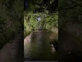 shorts 京都 祇園 白川 巽橋 お出掛け vlog 観光 kyoto 蛍 ホタル