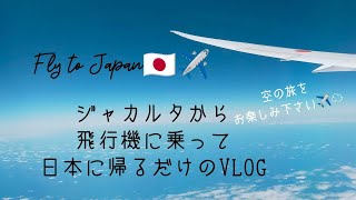 ジャカルタから飛行機に乗って日本に帰るだけのVlog（バリ島から帰国！）