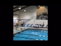 2015 2016 taylor hockenberry diving highlights