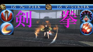 【剣拳】剣と拳の強いスキル両方使えたら強い説【トーラムオンライン】