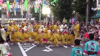 吹鼓連  茂原阿波おどり  第４会場②