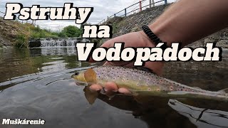 🎣Pstruhy  pod Vodopádmi - Malá pstruhovka, Rybárske Videá #rybolov #pstruh #pstruhpotocny