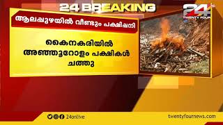 ആലപ്പുഴയിൽ വീണ്ടും പക്ഷിപ്പനി ; കൈനകരിയിൽ അഞ്ഞൂറോളം പക്ഷികൾ ചത്തു