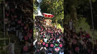 2017年10月8日、播州三木秋祭り、明石町宮入、part3