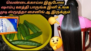 வெண்டைக்காய்ல இதுபோல ஷாம்பு ஊத்தி பாருங்க இனி🧒உங்க முடி ஸ்மூத்தா சைனிங் ஆ இருக்கும்