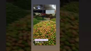 World Famous Mango city @ Srinivaspur, KA07