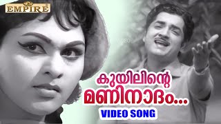 കുയിലിന്റെ മണിനാദം..| Kuyilinte Maninaadam .. | Padmavyooham Movie Song | Malayalam Evergreen  Songs