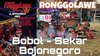 Live RONGGOLAWE dsn Kejuron Bobol Sekar Bojonegoro support by Triple Boss Audio Pro