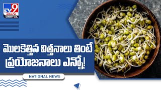 బరువు తగ్గేందుకు పక్కా ఫుడ్! | 5 benefits of eating sprouts daily - TV9