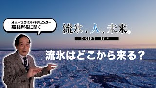 流氷、人、未来。【流氷はどこから来るの？】北海道立オホーツク流氷科学センター高橋所長に聞く！③