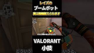 レイズのブームボットで段差超える方法知ってる？【VALORANT】