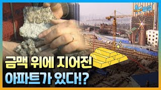 진짜 금싸라기 땅은 여기 있었네!ㅣ뉴튜브 사진관[70회] / YTN2