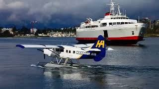 BUSY VICTORIA HARBOUR ACTION ft. DHC-2 Beaver landing, Coho Ferry arriving, and a Turbo Otter depart