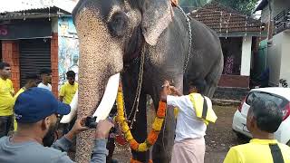 Chirakkal Kalidasan l കാളിയും വിനോദേട്ടനും വീണ്ടും 🙏