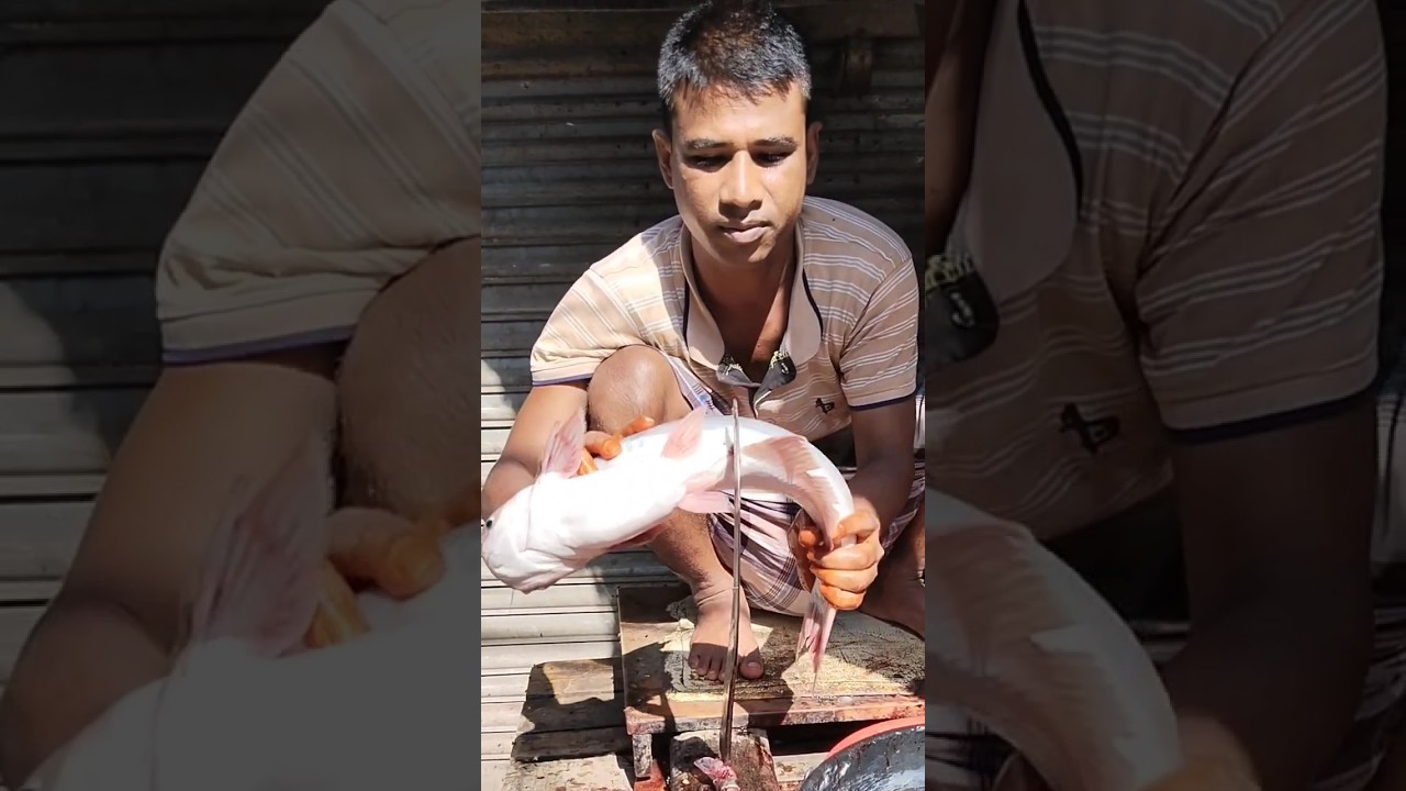 Big Pangash Fish Cutting Shorts Fishcutting Fish Cutting Bd Shots Big Pangash Fish Cutting Shorts Fishcutting Fish Cutting Bd Shots