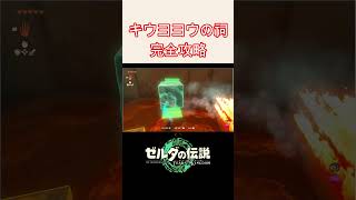 【ゼルダの伝説ティアキン】キウヨヨウの祠攻略の仕方　#shorts 　＃キウヨヨウの祠