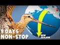 The World's Longest Non-Stop Flight