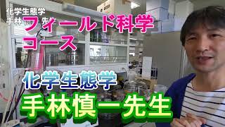 【フィールド科学コース】教員紹介（化学生態学・手林先生）