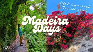 Coworking in Ponta do Sol \u0026 life as a digital nomad | Madeira Days 13