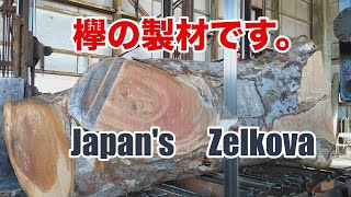 欅の製材です。今年もよろしくお願いいたします。Japan's Zelkova