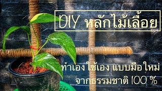 DIY หลักไม้เลื้อย เสาไม้เลื้อย ง่ายๆ แบบมือใหม่ ทำเองใช้เองจากธรรมชาติ 100% #diy