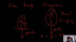 Cool Science Project! Computer coding to simulate projectile motion (with a Nerf Gun): Free Body