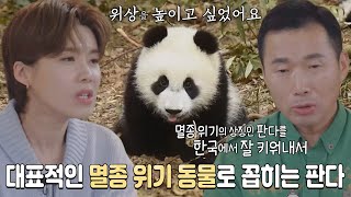 장도연, 강철원 사육사에게 중국 판다를 한국에 데리고 오는 이유 질문 #푸바오와할부지 #SBSstory