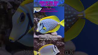 2023-06-22 spotted tang