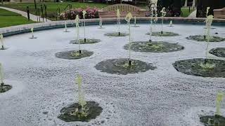 This is why were told Never to Pee in the Pool