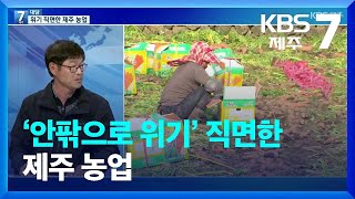 [대담] ‘안팎으로 위기’ 직면한 제주 농업 / KBS  2022.11.08.