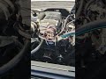 1967 chevy c10 engine bay running video