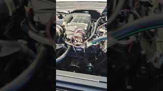 1967 Chevy C10 engine bay running video