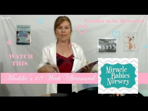 Reborn Pregnancy Gender Reveal for Maddie's 18 Week Ultrasound Reborn Pregnancy Gender Reveal for Maddie's 18 Week Ultrasound