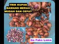 CARA MENGUPAS BAWANG MERAH DENGAN MUDAH DAN CEPAT