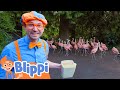 Blippi Feeds & Plays With Animals At The Zoo | Animals For Kids | Educational Videos For Kids