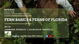 Fern Basics and Ferns of Florida🌿 With Jennifer Possley of Fairchild Tropical Botanic Garden