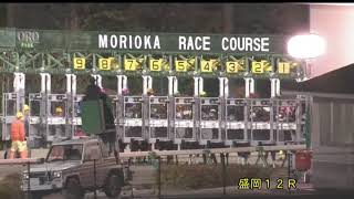 【盛岡競馬】絆カップ2018　レース速報