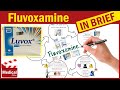 Fluvoxamine (Luvox): What Is Fluvoxamine Used For? Uses, Dosage and Side Effects of Fluvoxamine