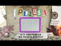 Į pliusą | ETF anatomija | Ką reikia žinoti? | Laisvės TV. Pinigai