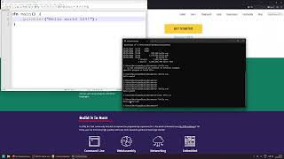 Rust Programming Tutorial #3 – Hello World with rustc & cargo