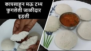 मऊ टम्म फुगलेली जाळीदार इडली || Idli Recipe || Idly Recipe || Maharashtrian Recipes | Marathi Recipe