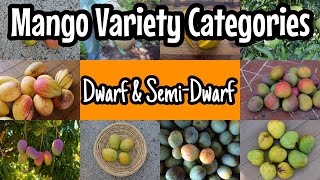 Mango Variety Groupings | Dwarf & Semi-Dwarf Mangos