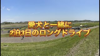 【甲斐犬】愛犬と2泊3日のロングドライブの旅