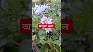 আল্লাহ বলে আমার ইজ্জতের কসম #motivation #punjabi #shayari #youtubeshorts #mizanurrahmanazahi 🥰❤️🥰❤️🥰