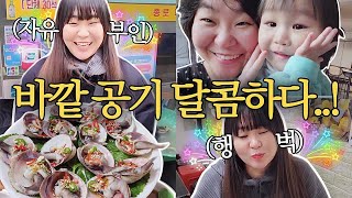 🎈4형제맘 자유의 날 VLOG🤣 주리를 감동시킨 주방🔥HOT템🔥을 소개합니다!!!