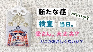 【新たな癌を検査する日。愛さん。大丈夫？どこかおかしくないか？】舌がん再手術３週間前の記録動画。