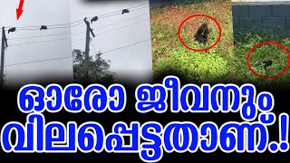 ഓരോ ജീവനും വിലപ്പെട്ടതാണ് | Very Sad This